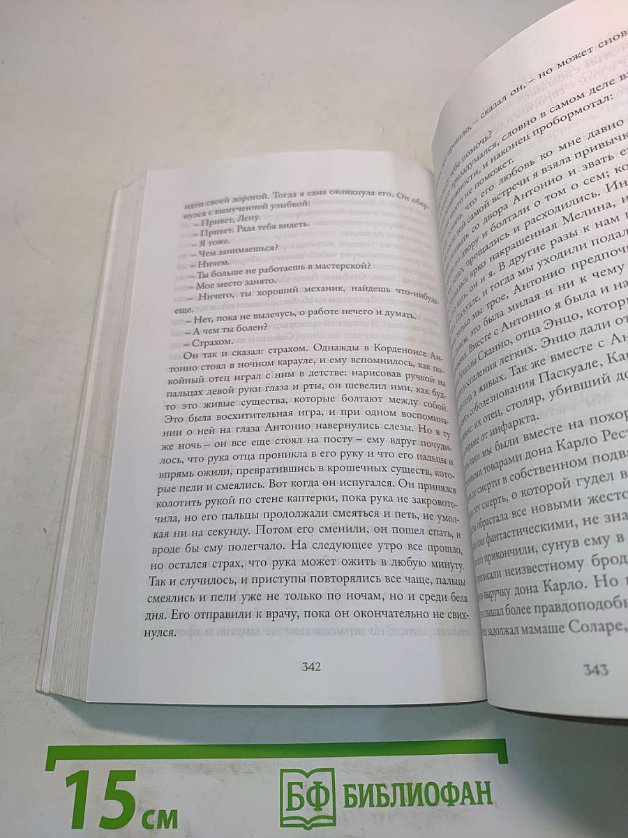 История нового имени. Книга вторая Неаполитанского квартета
