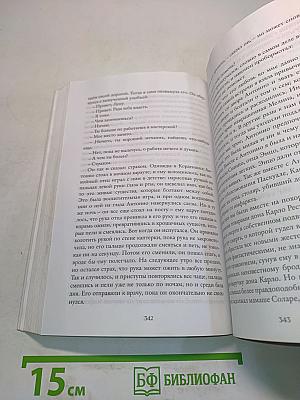 История нового имени. Книга вторая Неаполитанского квартета