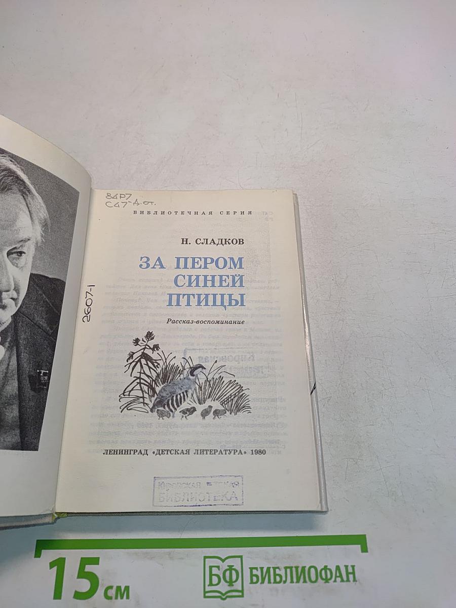 За пером синей птицы