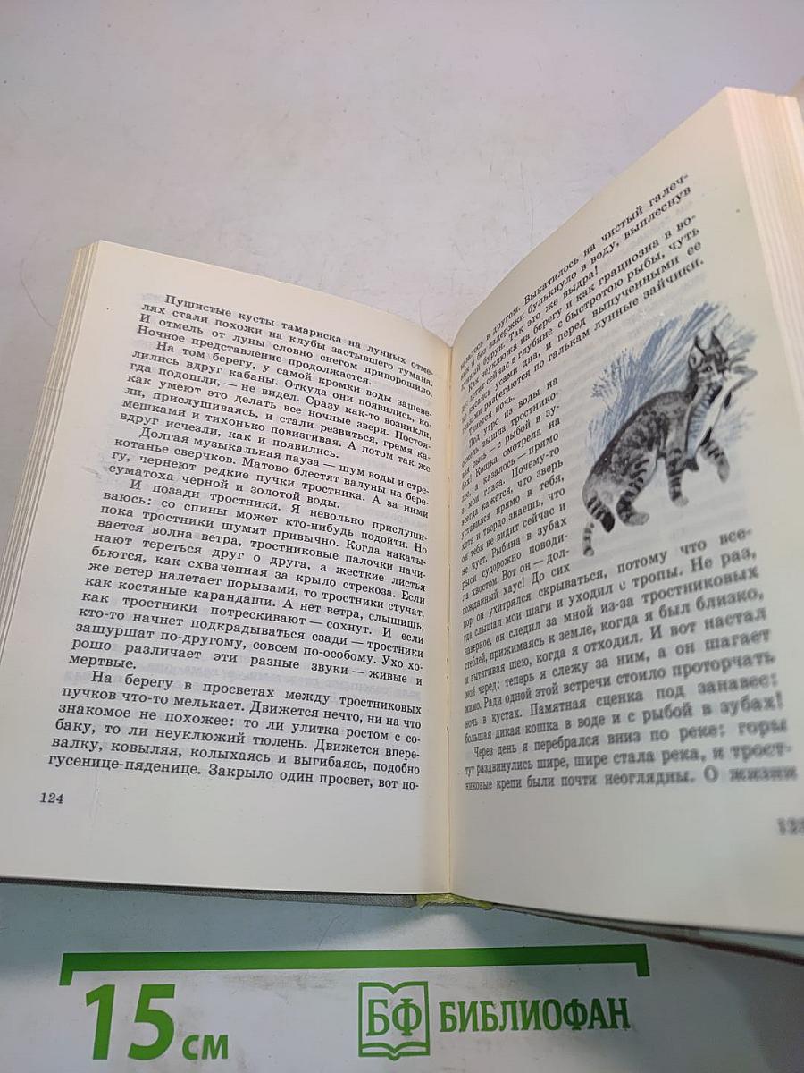 За пером синей птицы