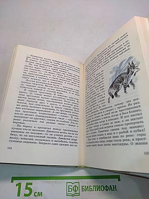 За пером синей птицы
