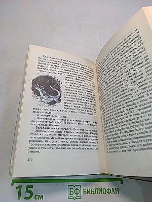 За пером синей птицы