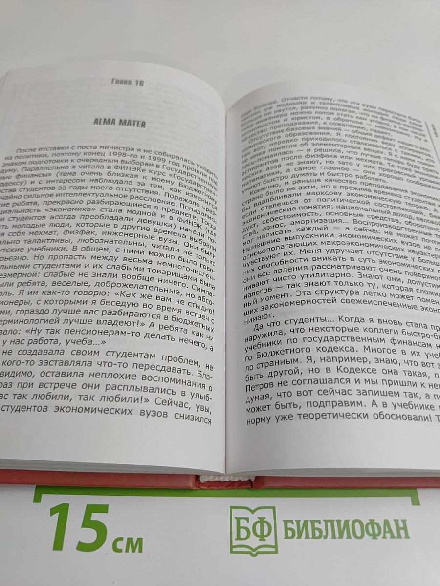 Противостояние. 20 лет в политике
