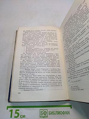 Крылья над морем