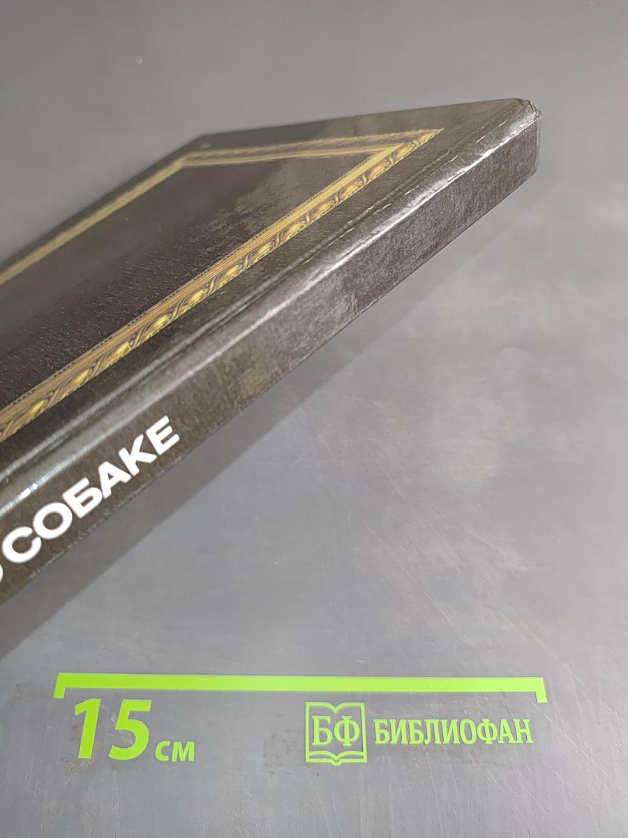 Слово о собаке