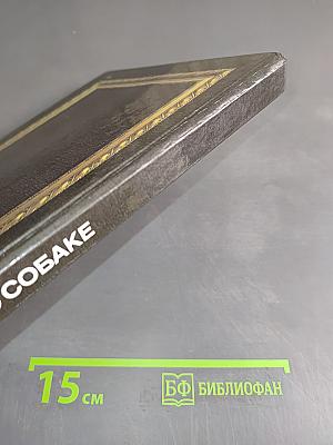 Слово о собаке