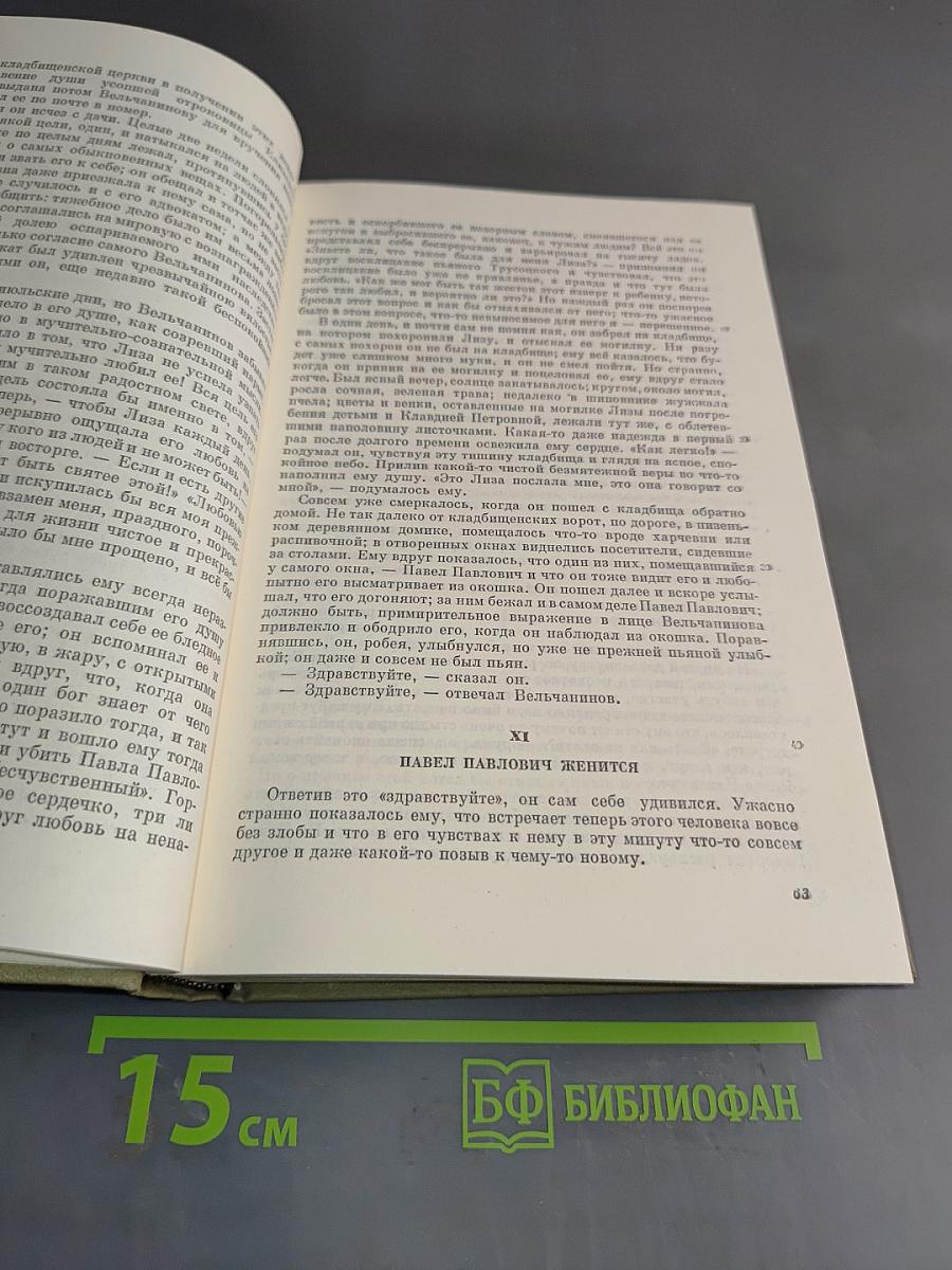 Идиот. Рукописные редакции. Вечный муж. Наброски 1867–1870. Том девятый
