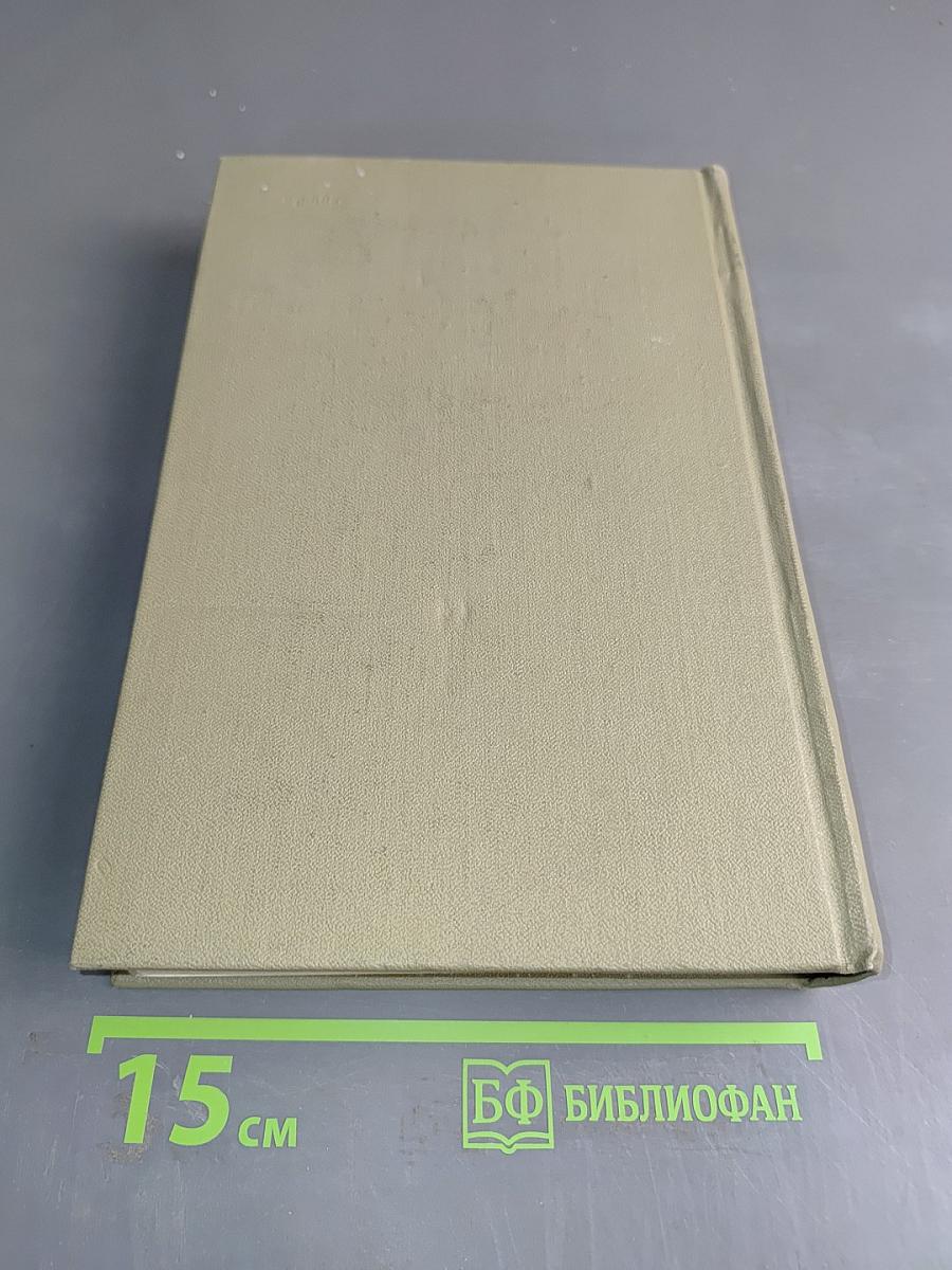 Идиот. Рукописные редакции. Вечный муж. Наброски 1867–1870. Том девятый