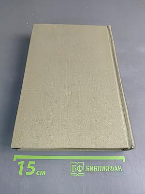 Идиот. Рукописные редакции. Вечный муж. Наброски 1867–1870. Том девятый