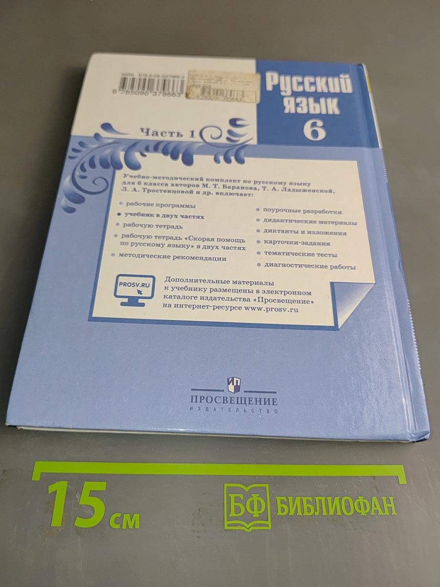 Русский язык. 6 класс. Часть 1