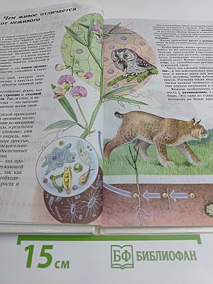 Биология. Живой организм. 6 класс. Учебник