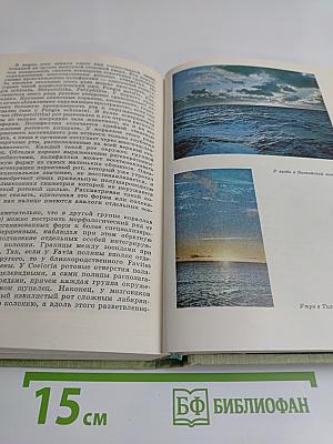 За тайнами Нептуна