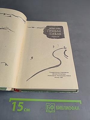 Гризли Казан