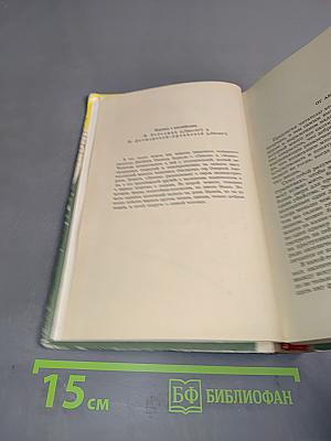 Гризли Казан