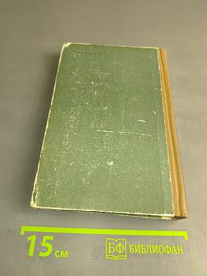 Гризли Казан