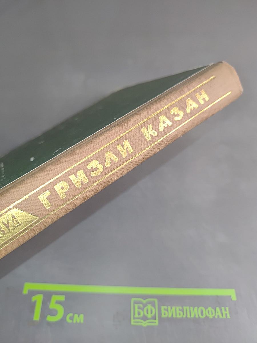 Гризли Казан