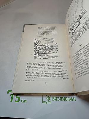 Стихотворения