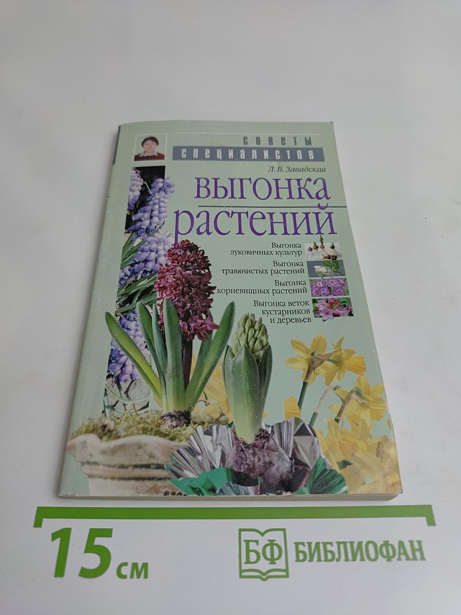 Выгонка растений