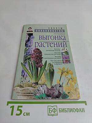 Выгонка растений