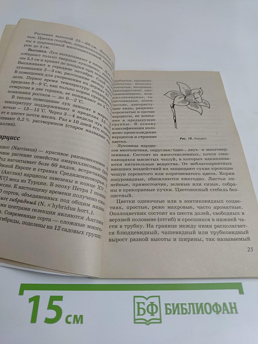 Выгонка растений