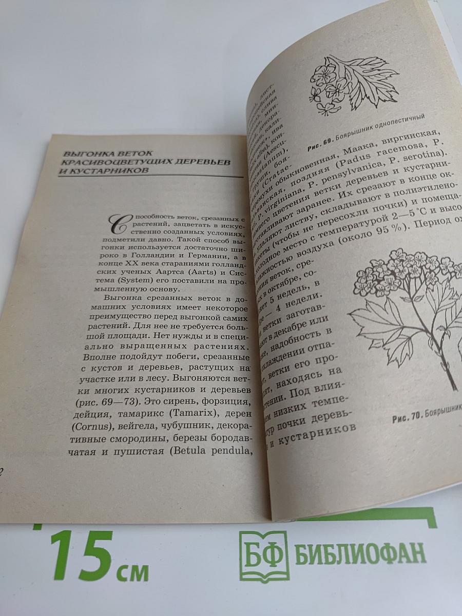 Выгонка растений