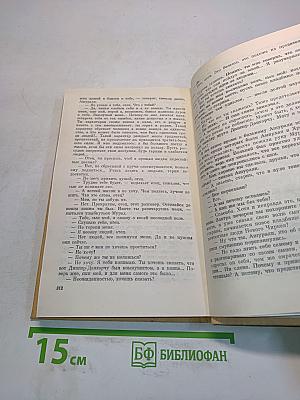 Солнце в "гнезде орла"