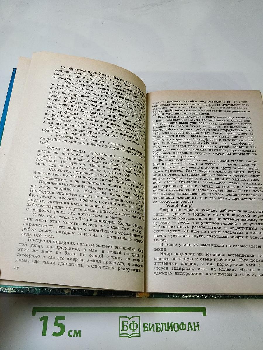 Повесть о Ходже Насреддине. Возмутитель спокойствия. Очарованный принц