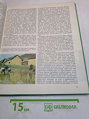 Плоды Земли