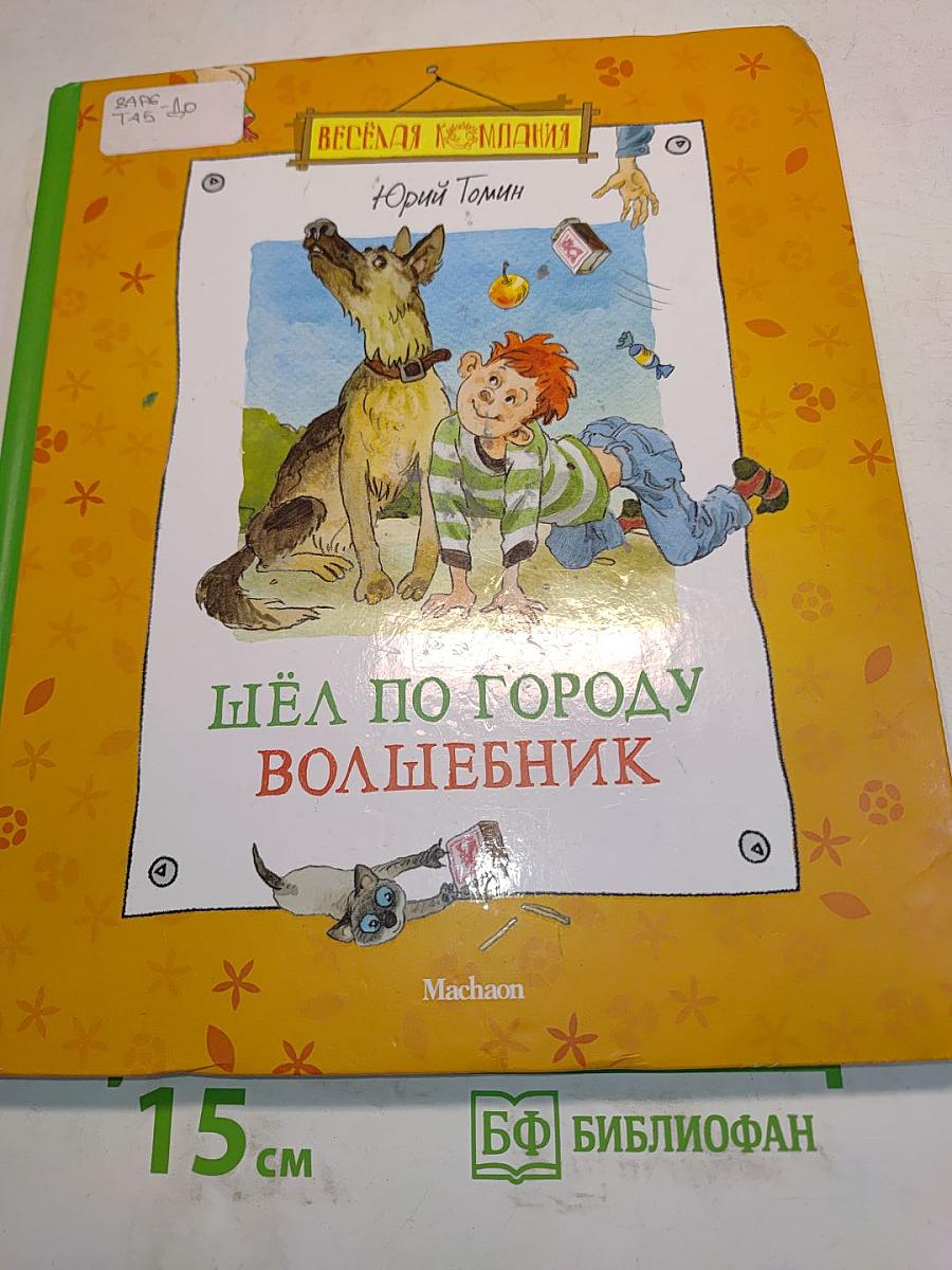 Шёл по городу волшебник