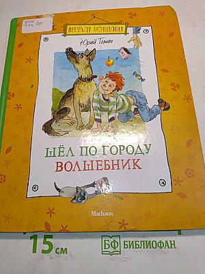 Шёл по городу волшебник