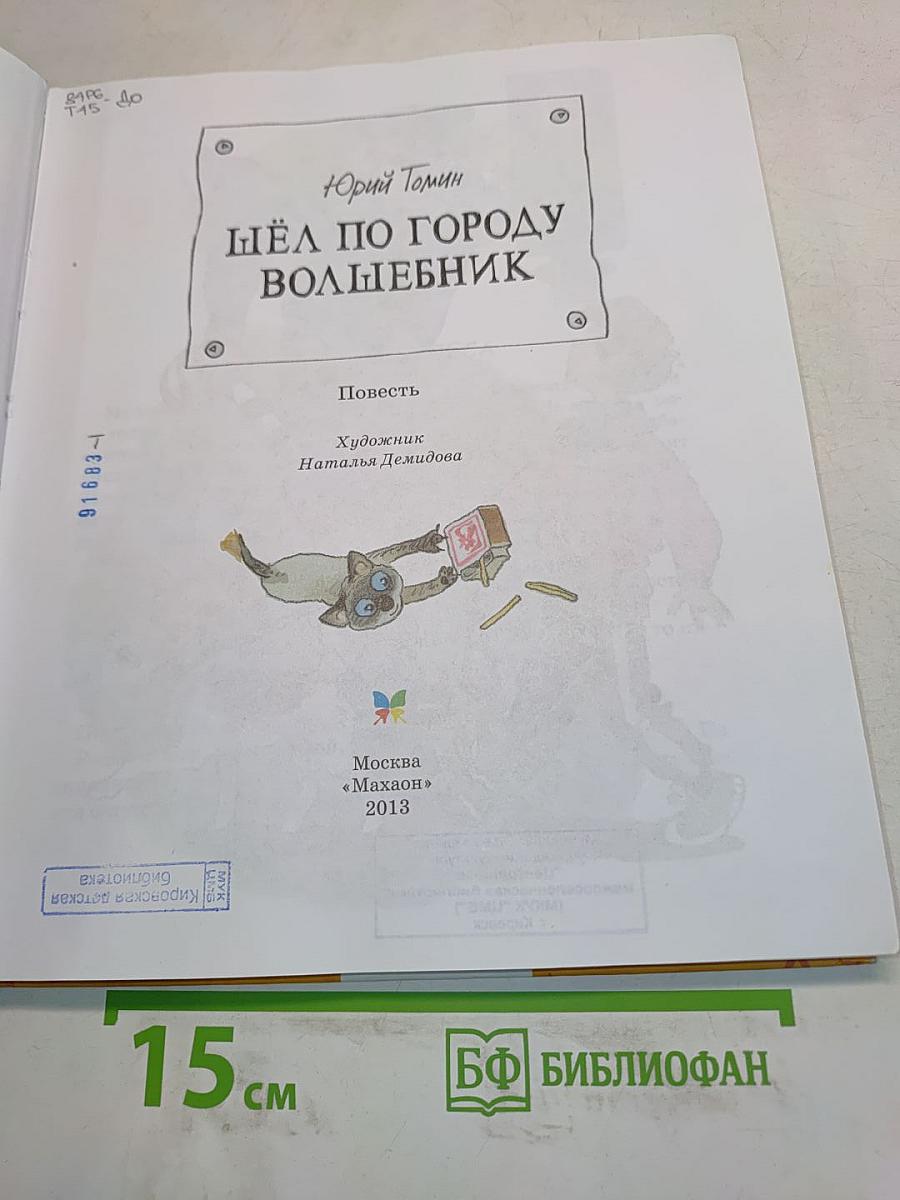 Шёл по городу волшебник