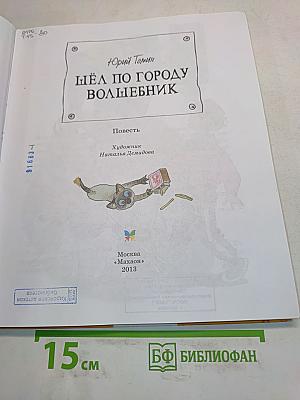 Шёл по городу волшебник