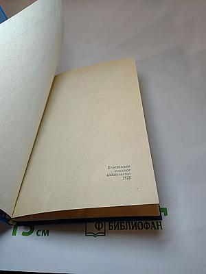 Четырнадцать футов