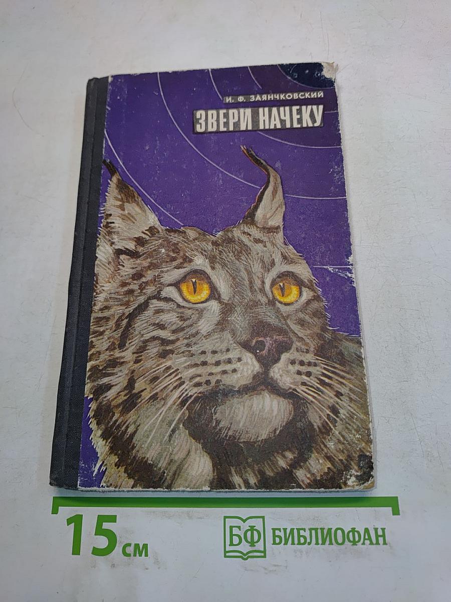 Звери начеку