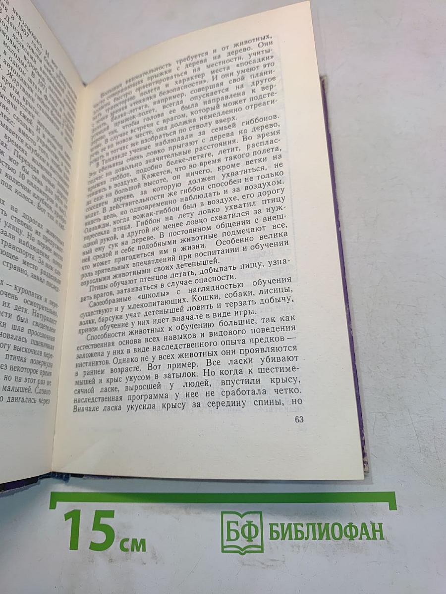 Звери начеку