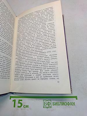 Звери начеку