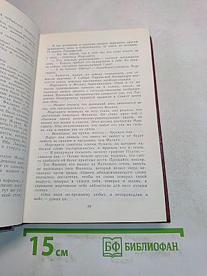 Железный король. Принцесса Шампатайя