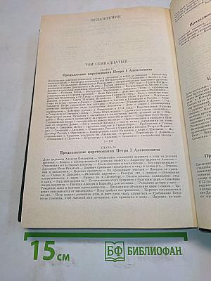 Сочинения. Книга IX. История России с древнейших времен. Тома 17-18