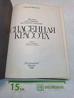 Спасенная красота. Книга для учащихся старших классов