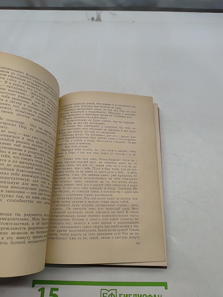 Счастли́вчик Пер. Книга первая