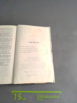 Через много лет. Гений и богиня