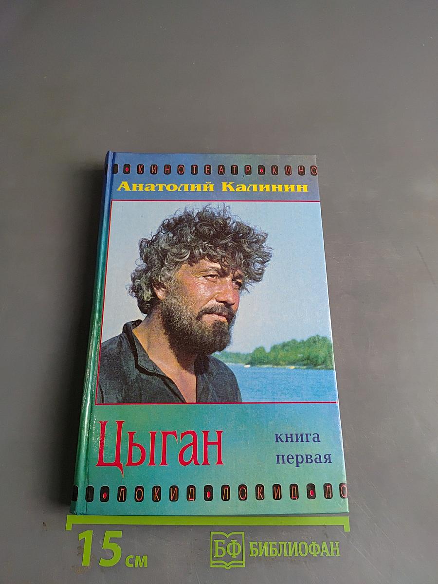 Цыган. Книга первая