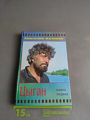 Цыган. Книга первая