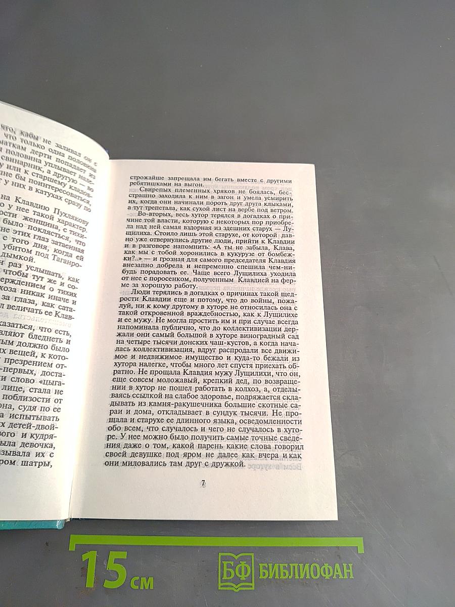 Цыган. Книга первая