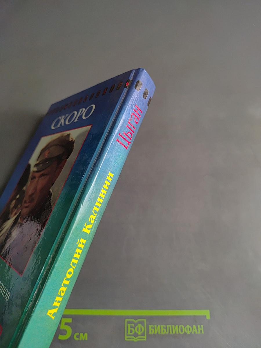 Цыган. Книга первая