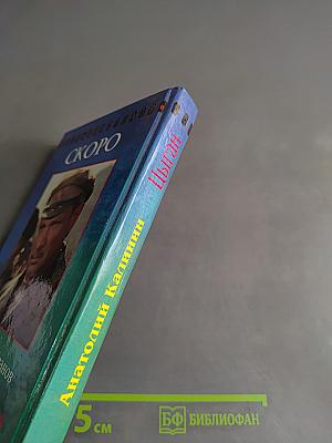Цыган. Книга первая