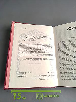 Русская литература XIX века в зеркале критики