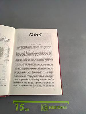 Русская литература XIX века в зеркале критики