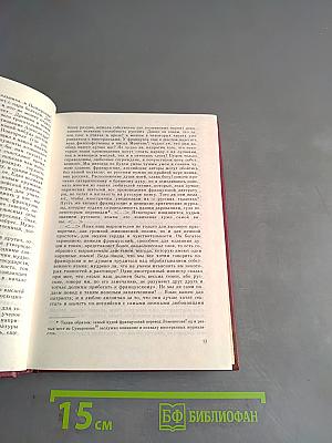 Русская литература XIX века в зеркале критики