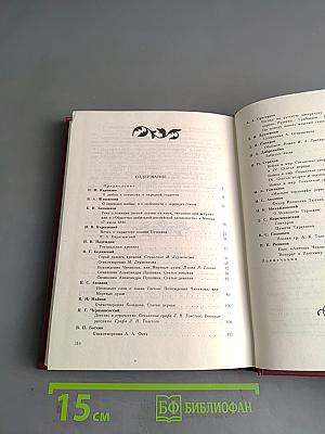 Русская литература XIX века в зеркале критики